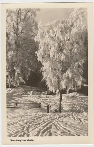 (8948) Foto AK Harz, Rauhreif an den Bäumen 1955