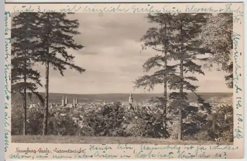 (9010) Foto AK Naumburg, Saale, Panorama 1949