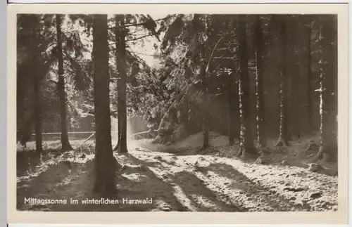 (8949) Foto AK Harz, Mittagssonne im Winterwald 1953