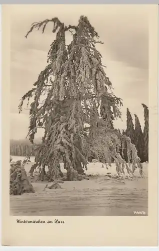 (8947) Foto AK Harz, Winterwald 1955