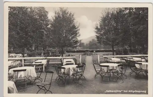 (89079) Foto AK Selkemühle, Mägdesprung, Harz, Selketal, Garten 1956