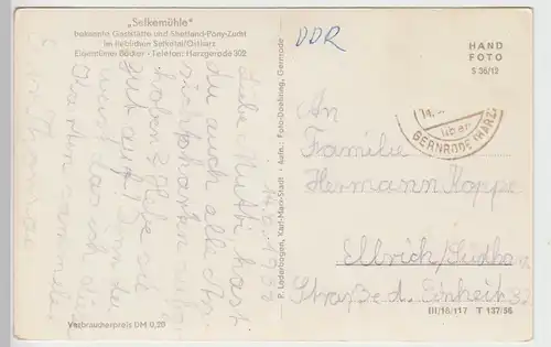 (89079) Foto AK Selkemühle, Mägdesprung, Harz, Selketal, Garten 1956