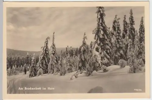 (8891) Foto AK Am Brockenbett im Harz, Winter 1955