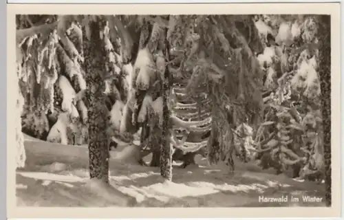 (8889) Foto AK Harzwald im Winter 1953