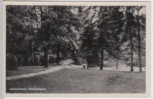 (8836) AK Aschersleben, Stephanspark 1956