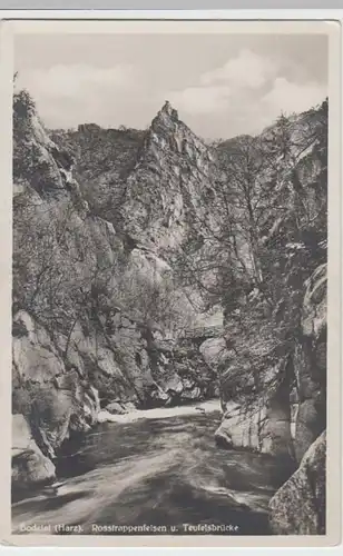 (8782) Foto AK Bodetal, Harz, Roßtrappenfelsen, Teufelsbrücke, vor 1945