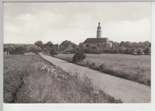 (86944) Foto AK Dübener Heide, Blick auf Reinharz, 1984