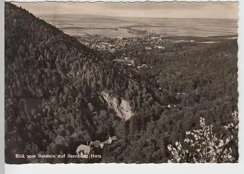 (86825) Foto AK Ilsenburg (Harz), Blick vom Ilsestein, 1959