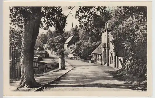 (85726) Foto AK Schierke, Harz, Straßenansicht Unterschierke, 1958