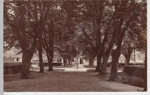 (85229) Foto AK Gnadau, Partie im Park, 1920/30er