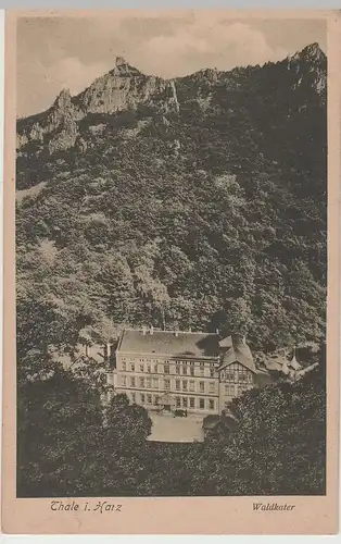 (83875) AK Harz, Thale, Hotel Waldkater, vor 1945