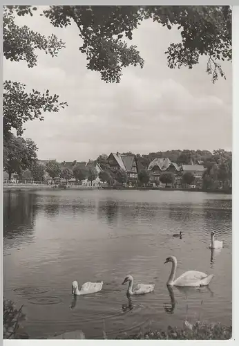 (83313) Foto AK Ilsenburg, Harz, Forellenteich 1983