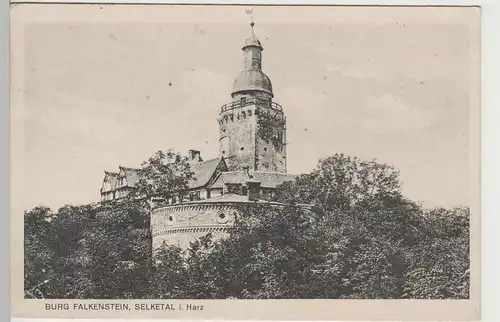 (81605) AK Selketal im Harz, Burg Falkenstein, 1915