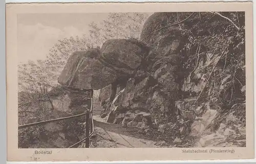 (80901) AK Bodetal im Harz, Steinbachstal Pionierstieg, vor 1945