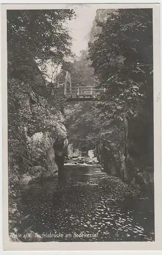 (80048) Foto AK Thale am Harz, Teufelsbrücke am Bodekessel, 1930