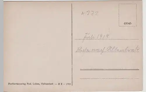 (79895) AK Blankenburg, Harz, Rathaus, St. Bartholomäus 1919