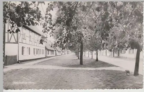 (79870) Foto AK Harz, Neudorf, Harzgerode, Straßenansicht 1963