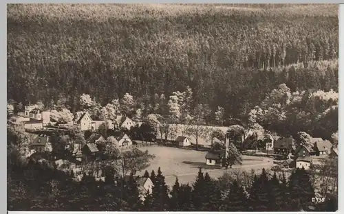 (79843) Foto AK Harz, Elend, Panorama 1952