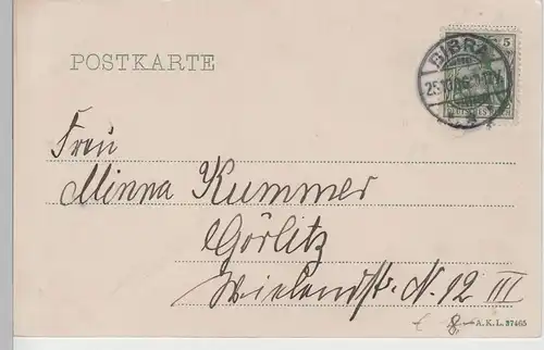 (79817) AK Bad Bibra, Gesamtansicht, 1906