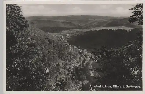 (79438) Foto AK Altenbrak im Harz, Blick von der Schöneburg, 1938