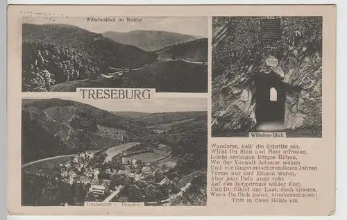 (78681) AK Treseburg, Totale u. Wilhelmsblick, mit Gedicht, 1918