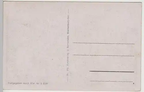 (77697) AK Blankenburg (Harz), Gesamtansicht, 1933-45