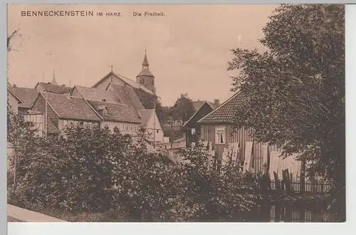 (76181) AK Benneckenstein, Harz, Freiheit 1909