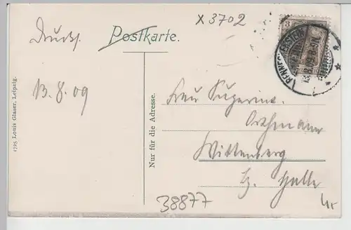 (76181) AK Benneckenstein, Harz, Freiheit 1909
