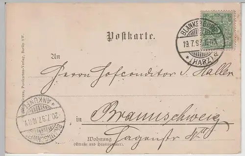 (73374) AK Gruß aus Blankenburg, Harz, Burg Regenstein 1897