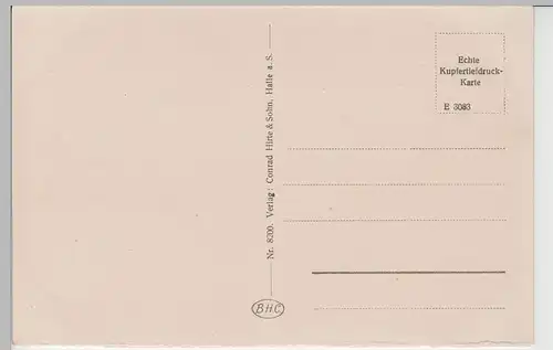 (72394) AK Halle, Saale, Partie bei Kröllwitz mit Petruskirche, vor 1945