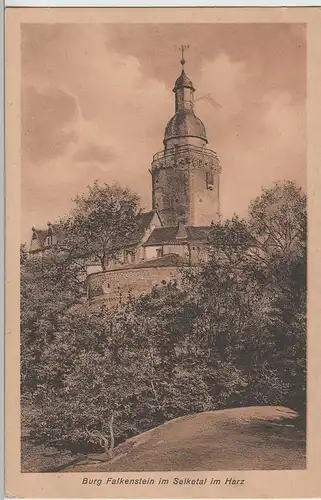 (70954) AK Burg Falkenstein im Selketal, 1921