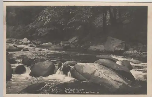 (70753) Foto AK Bodetal, Bode-Partie am Waldkater, 1930er