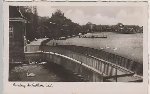 (70576) Foto AK Merseburg, Am Gotthard-Teich, 1941