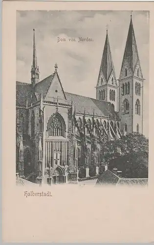 (69271) AK Halberstadt, Dom, bis um 1905