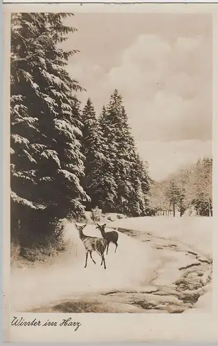 (69226) Foto AK Winter im Harz, Rehe am Bach, vor 1945