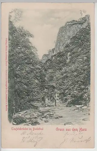 (69233) AK Gruß aus dem Harz, Bodetal, Teufelsbrücke, Reliefkarte 1906