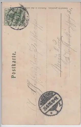 (69233) AK Gruß aus dem Harz, Bodetal, Teufelsbrücke, Reliefkarte 1906