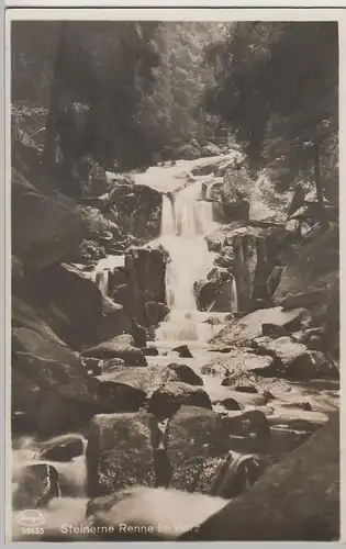 (69223) Foto AK Harz, Steinerne Renne, vor 1945