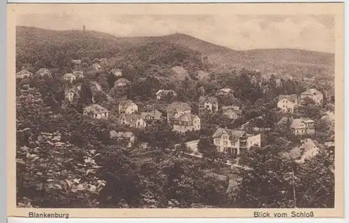 (6839) AK Blankenburg, Harz, Panorama, vor 1945