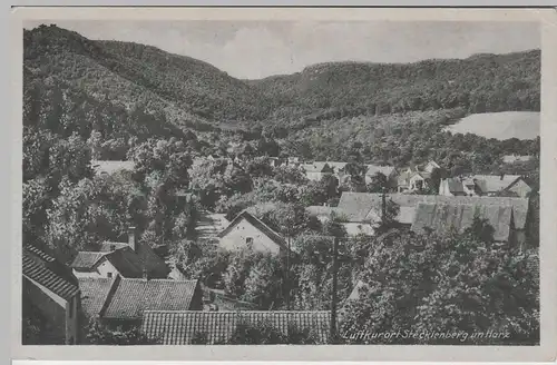 (68009) AK Stecklenberg im Harz, Totale, 1933-45
