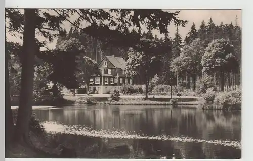 (67238) Foto AK Hasselfelde, Harz, Haus Tannenwald 1964