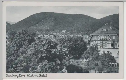 (66255) AK Ilsenburg im Harz, Blick ins Ilsetal, vor 1945