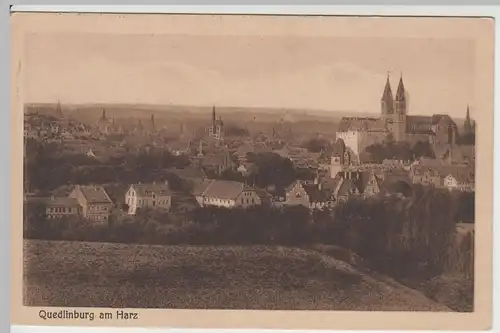 (64968) AK Quedlinburg, Panorama mit Schloss u. Stift, vor 1945