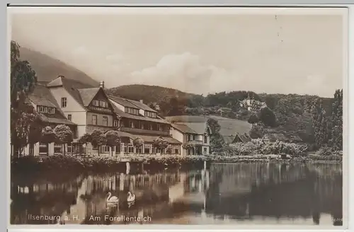 (64546) Foto AK Ilsenburg, Harz, Landhaus "Zu den roten Forellen", vor 1945