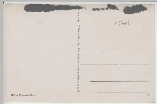 (64546) Foto AK Ilsenburg, Harz, Landhaus "Zu den roten Forellen", vor 1945