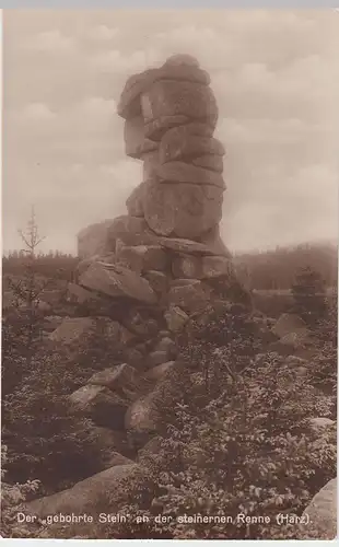 (60918) Foto AK Steinerne Renne (Harz), der Gebohrte Stein, 1926