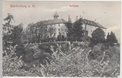 (59911) AK Blankenburg im Harz, Schloss 1907