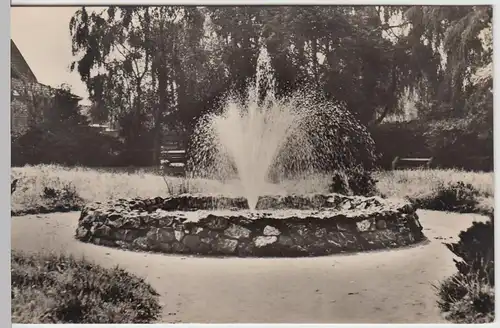(52845) Foto AK Harzgerode, Partie im Stadtpark 1957