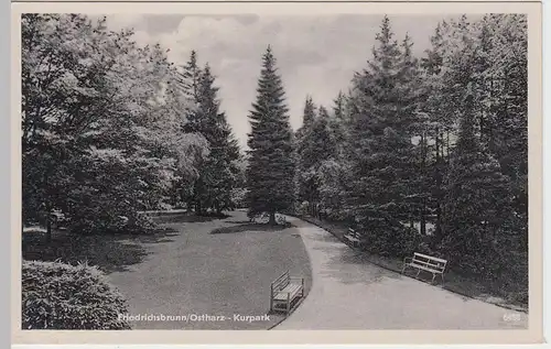 (52855) AK Friedrichsbrunn, Harz, Kurpark 1955