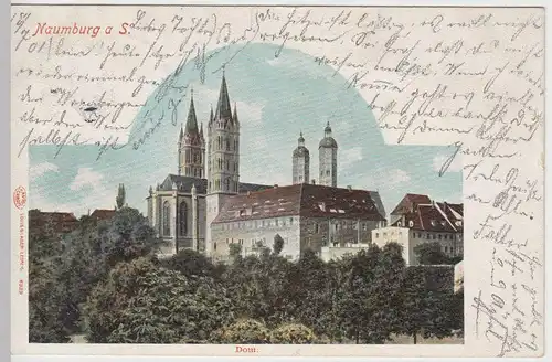 (51883) AK Naumburg an der Saale, Dom, 1901